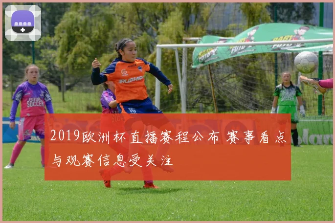 2019欧洲杯直播赛程公布 赛事看点与观赛信息受关注