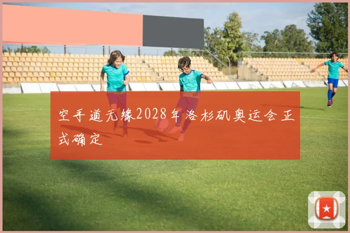 空手道无缘2028年洛杉矶奥运会正式确定