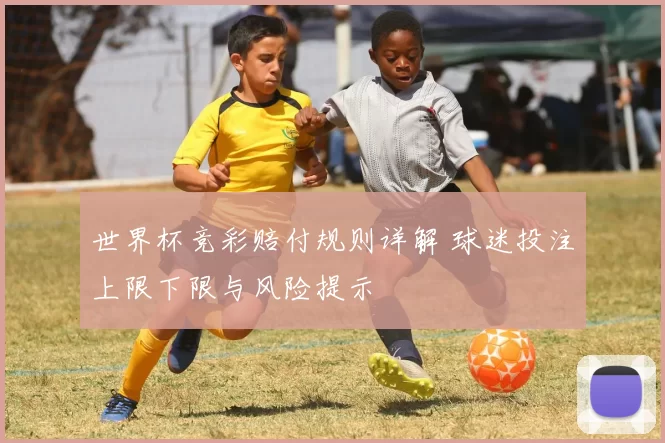 世界杯竞彩赔付规则详解 球迷投注上限下限与风险提示